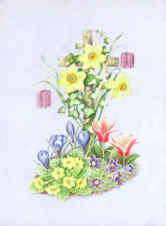 Primroses: Cross with ivy, daffodils, crocus, primroses etc