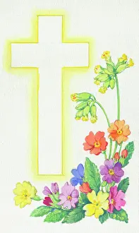 Cowslips: Cross with primroses and cowslips