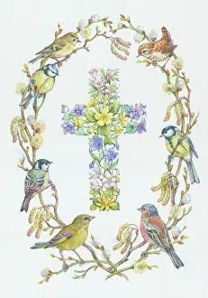 Catkins: Cross of Primroses and violets etc with birds