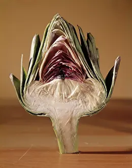 Nutritional: Cross Section of Artichoke