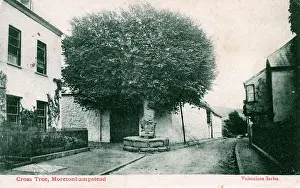 Abbot: Cross Tree, Moretonhampstead, Devon
