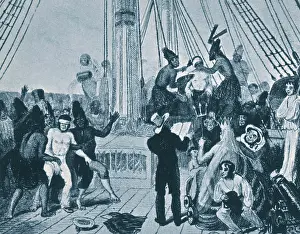 Seamen: Crossing the Equator, HMS Beagle, 1832