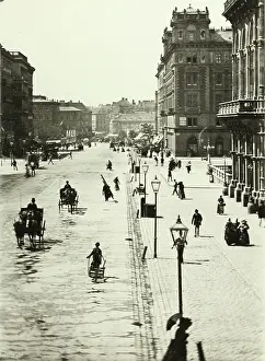 Burger: Crossing at Vienna opera house