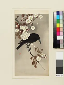 Koson: Crow and blossom