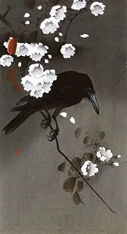 Gloomy: Crow and Blossoms
