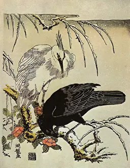Storks: Crow and Heron in the Snow