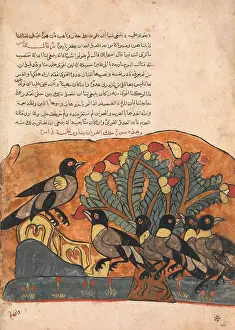 Consults: The Crow King Consults his Ministers, Folio from