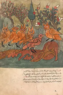 Kalila: The Crow Spy Talks to the King of the Owls and