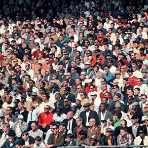 Multitudes: Crowd