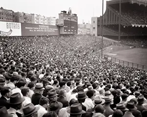 Dodgers: Crowd in Bleachers - World Series Baseball Game