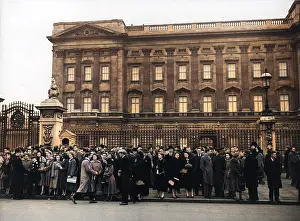 A crowd gathered outside the gates of Buckingham Palace