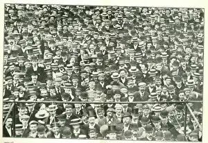 Boater: Crowd at The Oval Cricket Ground, London