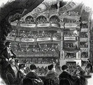 Loge: A Crowded Theatre