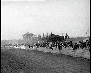 Barriers: Crowds Leaning Over Barriers By the Side of
