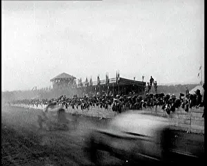 Barriers: Crowds Leaning Over Barriers By the Side of