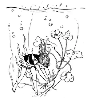 Sinks: Crowfoot fairy underwater