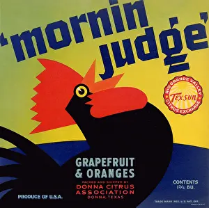 Crowing: Crowing Rooster