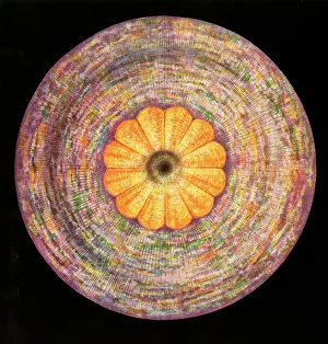 Chakras: The Crown Chakra