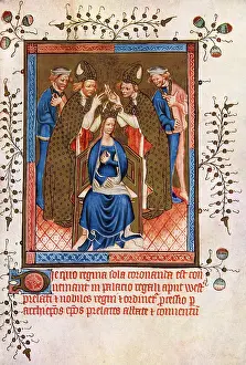 Regalis: The Crowning of a Queen