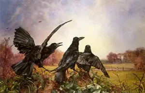 Mildred: Three Crows