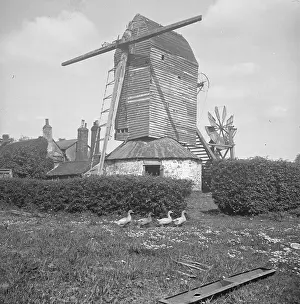 Windmill: Crow's Green Windmill, Crow's Green, Bardfield Saling