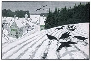 Crows: Crows in the Snow 1902