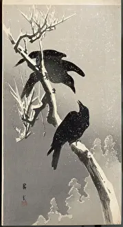 Gloomy: Two crows on a snowy branch
