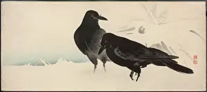 Drift: Two crows stand in the snow