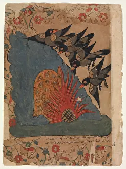 Kalila: The Crows Trap the Owls in Their Cave by Lighting