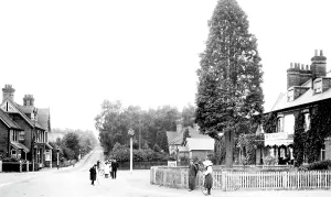 Crowthorne: Crowthorne, Sandhurst Road 1906
