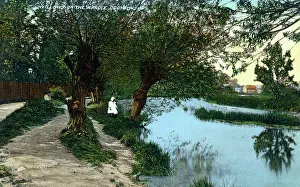Willows: Croyden, Willows on the Wandle