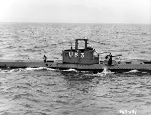 Cruel: THE CRUEL SEA