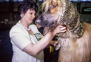 Dogshow: Crufts Dog Show 1997