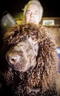 Dogshow: Crufts Dog Show 1997