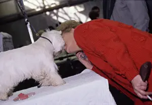 Dogshow: Crufts Dog Show 1997