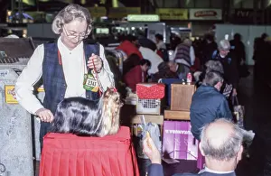 Dogshow: Crufts Dog Show 1997