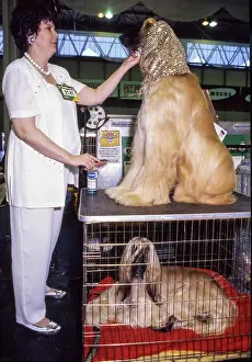 Dogshow: Crufts Dog Show 1997