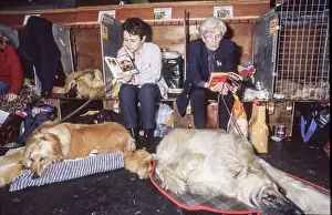 Dogshow: Crufts Dog Show 1997