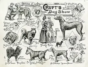 Prizes: Cruft's Dog Show - dogs and owners