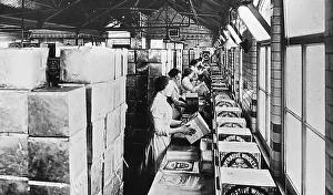 Crumpsall: Crumpsall CWS Biscuit Factory in 1908