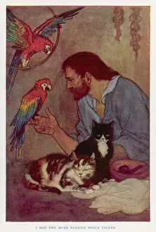 Crusoe: CRUSOE, PARROTS, CATS