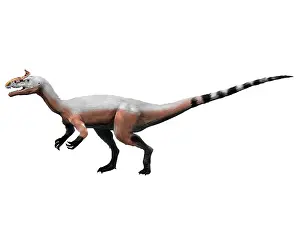 Cryolophosaurus: Cryolophosaurus dinosaur