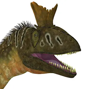 Dilophosaurid: Cryolophosaurus dinosaur head