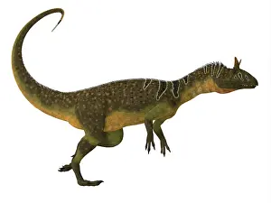 Dilophosaurid: Cryolophosaurus dinosaur, side view
