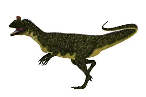 Dilophosaurid: Cryolophosaurus dinosaur walking, side view on