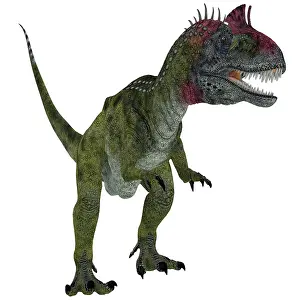 Dilophosaurid: Cryolophosaurus dinosaur, white background