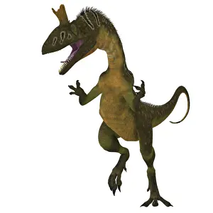 Dilophosaurid: Cryolophosaurus dinosaur on white background