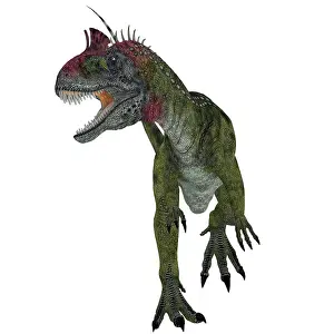 Dilophosaurid: Cryolophosaurus dinosaur, white background