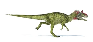 Carnosauria: Cryolophosaurus dinosaur on white background