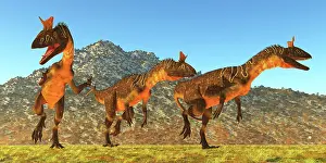 Searching: Cryolophosaurus dinosaurs hunt together for prey